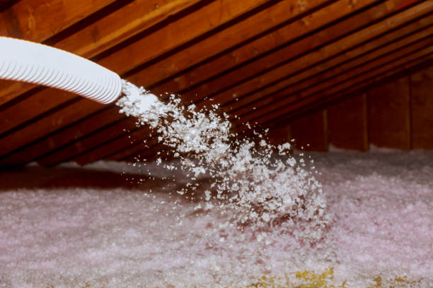 Best Spray Foam Insulation in Mamou, LA