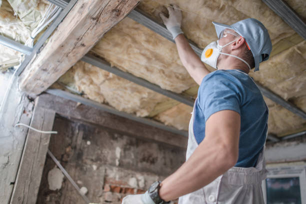 Best Cellulose Insulation in Mamou, LA