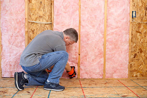 Types of Insulation We Offer in Mamou, LA